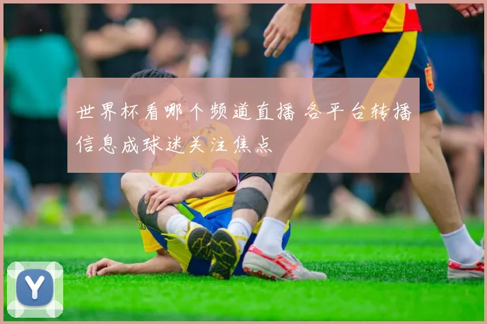 世界杯看哪个频道直播 各平台转播信息成球迷关注焦点