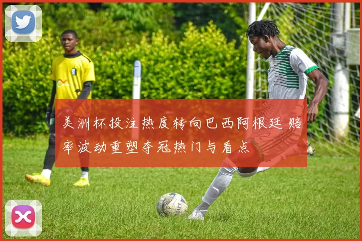 美洲杯投注热度转向巴西阿根廷 赔率波动重塑夺冠热门与看点