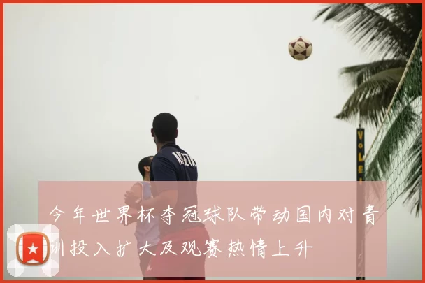 今年世界杯夺冠球队带动国内对青训投入扩大及观赛热情上升